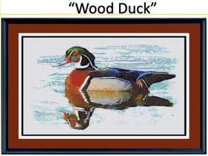 Wood Duck